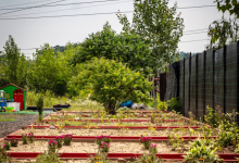 camine batrani Viseu de jos Camin Batrani - Camin Varstnici - Grosi - SC ADAMSID SRL