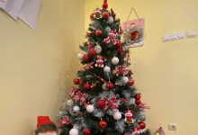 camine batrani Viseu de jos Camin Batrani - Camin Varstnici - Grosi - SC ADAMSID SRL