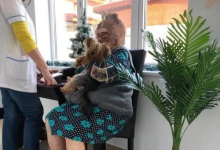 camine batrani Mogosoaia Caminul Batrani Mogosoaia - Caminul Adina