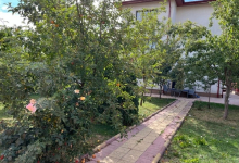 camine batrani Barcanesti Camin Batrani Barcanesti - Camin Adina Pipera